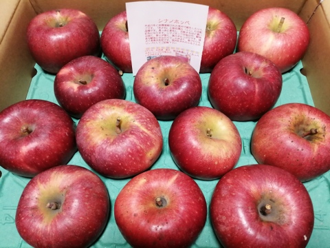 「シナノホッペ」訳あり5キロ　ご家庭専用 ご好評販売中　歯触りが良い甘いニューフェース　　5キロコース（14～20個入り）