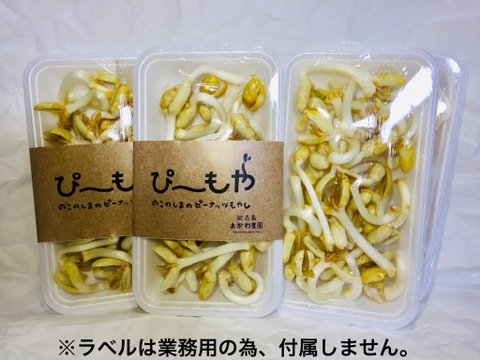 落花生の風味がそのまま！ピーナッツもやし 400g(100gx4)