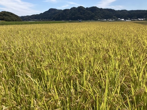 【農薬･化学肥料不使用玄米】この農園だけの美味しいお米【30kg】