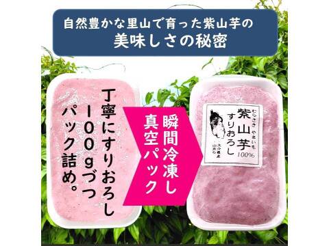 紫山芋１００％すりおろし、 瞬間冷凍、 小分け１００ｇ×６袋、冷凍パック、紫色はアントシアニン、大分市産、農薬・化学肥料不使用、保冷剤入り