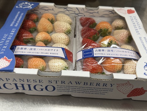 【いちご食べ比べ】3色いちご・特選セット　250g×２P