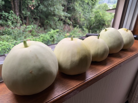 【自然栽培】固定種 みずほニューメロン 2kg以上★農薬・肥料不使用｜昔懐かしメロン