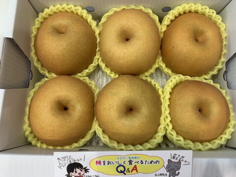 まるせい果樹園の梨【おまかせ】2kg箱　(4～12玉入り)　n1