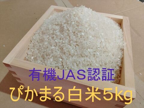 有機JAS認証【農薬不使用「ぴかまる」白米5kg】美味しくもちもち柔らか 2025年兵庫県産「タガメの里・自然米」