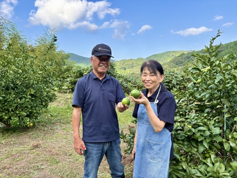 果汁たっぷり！香り豊か！今が旬のレモン『マイヤー』2kg