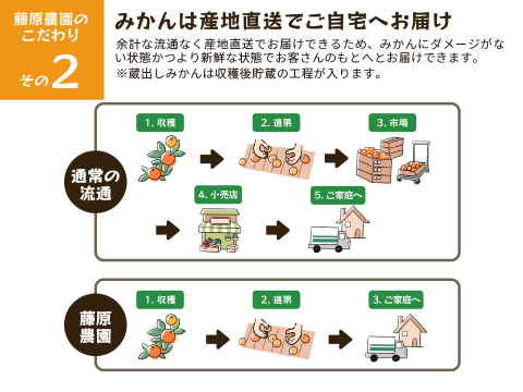 蔵出しみかん丹生系10kg｜和歌山県海南市下津町産。晩生みかんの最高級品種