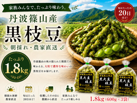 丹波篠山 黒枝豆 1.8kg( 600g × 3袋 ) 【令和7年新豆・予約販売】 産地