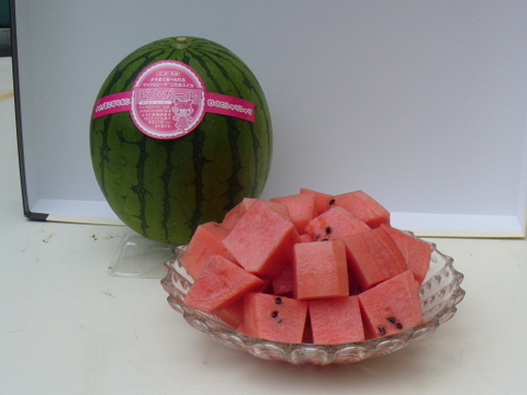 今年の夏も【かねこ農園】のスイカとミニトマトが食べたーい！！　北海道産【小玉スイカ】「ピノガール」1玉+有機ミニトマト「ほれまる」500ｇ×2パックセット！