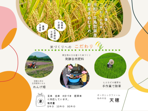 【令和7年新米】農薬・化学肥料不使用 冷めても美味しい「きぬむすめ」8分づき　10キロ