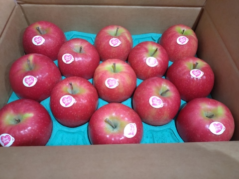 キュンとくる酸味りんご❗　ピンクレディー®（12個から16個）箱含め3キロ