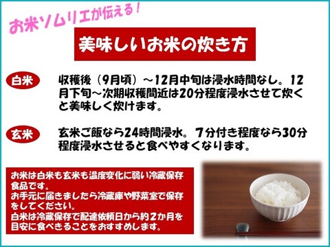 【新米】定期購入　茨城県産のお米10kg（月2回購入限定）