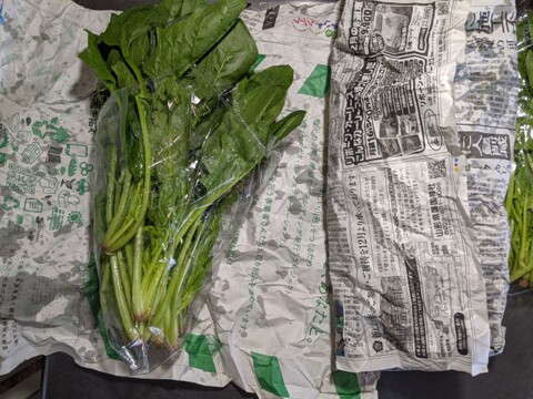 ホウレンソウと茎立ち