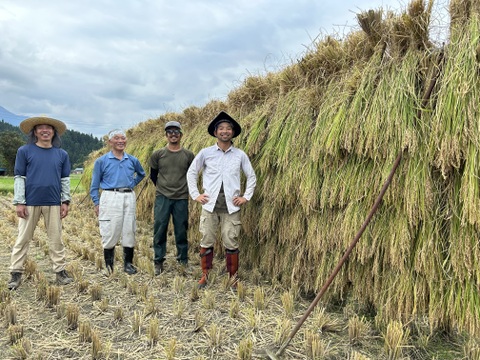 [新米]　新潟県　南魚沼産こがねもち　精米450g (3合)x10個[令和7年産]
八海山の里で実りました。