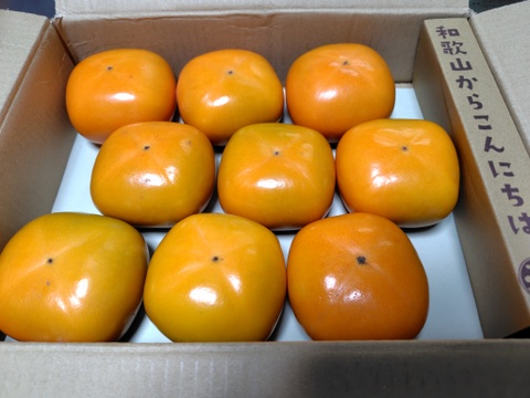 ジュワッ！ 甘っ！ 平核無（ひらたねなし）柿🟠✨🍂　お試しパック 6〜9個入り Mサイズ以上 11月上旬頃より順次発送