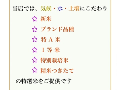 オススメ∽つや姫∔雪若丸各5kg 食べ比べ 特別栽培米 無洗米 令和6年山形産