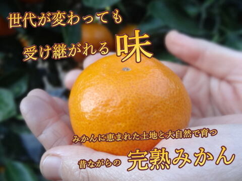 【厳選小粒５ｋｇ】薄皮！濃厚！甘～い！二段熟成の完熟みかん「熟成味柑」　小玉サイズ　秀品　５ｋｇ【172】