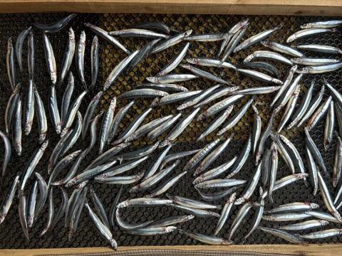 きんなご（約1kg）とあおさ（約400g）、お味噌汁、お吸い物セット