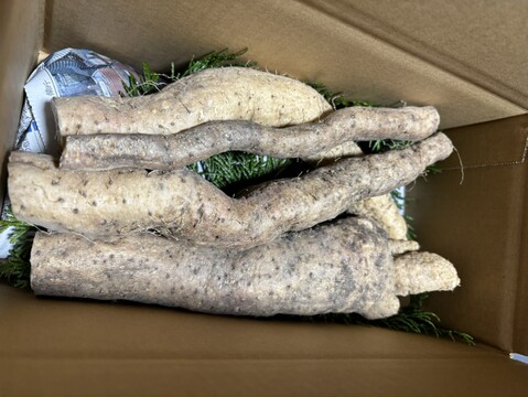 【産地箱詰め】形は不揃い、粘りは１級品。自然薯カット１㎏箱