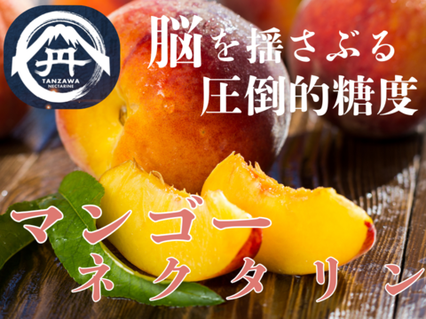 【一度食べたら忘れられない衝撃の桃】完熟マンゴーネクタリン🍑8月上旬発送【お中元ギフト】大容量約2kg6～9個【朝どれ高級もも】【家庭用・贈り物】