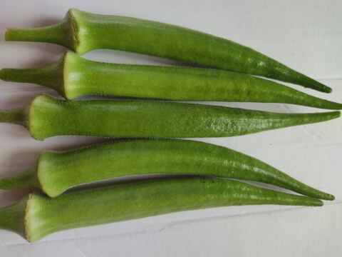 ✨新鮮採れたてゴーヤ約800g+丸オクラ20本+カボチャ約1.5㎏✨