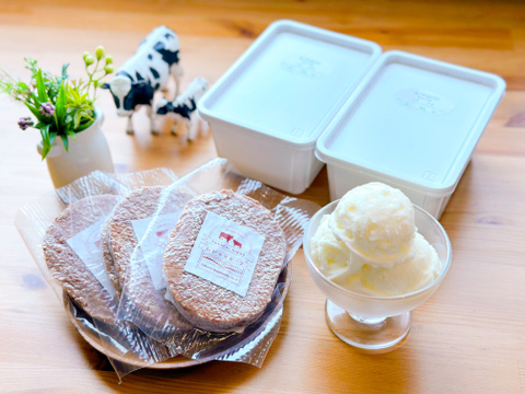 【夏ギフト】《今だけ300円引き✨》家族みんなで分けて食べれるファミリーサイズ(800ml) 2個と、冷凍のまま焼けるハンバーグ3個セット！