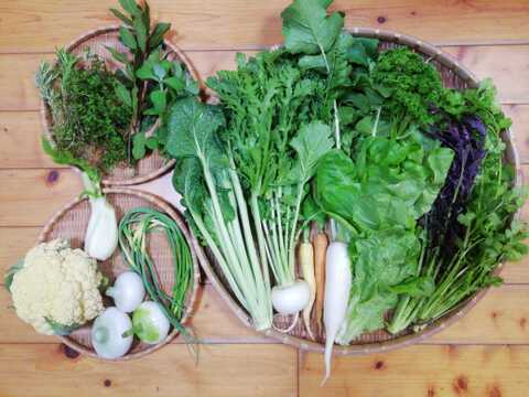 【農薬・化学肥料不使用】４種類以上のハーブ入り野菜セット【８種類以上の野菜】【金曜日発送】【あわせ買い可】【熨斗(のし)対応可】【８０サイズ箱】