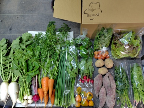 自然栽培のお野菜詰合せ【お試し用】