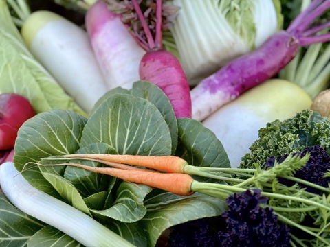 Lサイズ｜信州産｜モリモリ！冬野菜の玉手箱