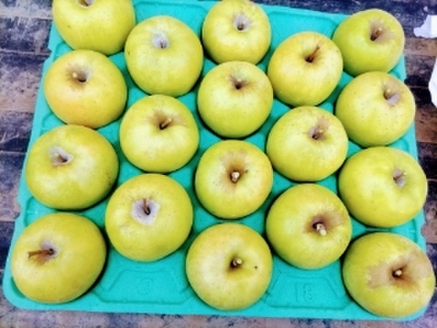 王林　（散布薬剤削減）