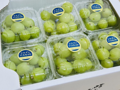みんなでシェアしよう！つぶつぶシャイン12パック約１.6キロ