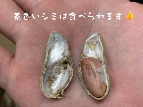 【セール中】落花生の王様！『千葉半立落花生』らっかせい(乾燥500g)生1.3kg相当品