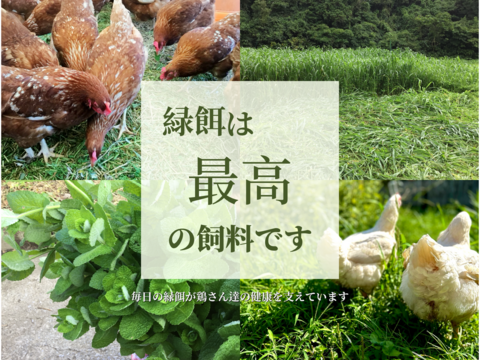 ☆＊【夢まるの若鶏🍗】＊☆
安納芋の甘味がギュッ！っと詰まった脂と旨味が溢れ出す！夢まるの若鶏　約1,800g