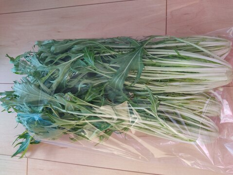 ✨農薬・化成肥料不使用の高菜400g+水菜500g✨