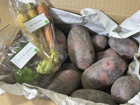 人気の じゃがいも グラウンドペチカ　（デストロイヤー）2.5㎏(60サイズ箱)