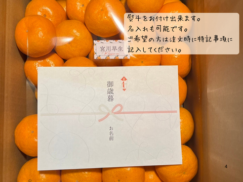 【有田みかん】10キロSサイズ　家庭用　温州みかん　早生みかん　宮川早生　低農薬　【冬ギフト】