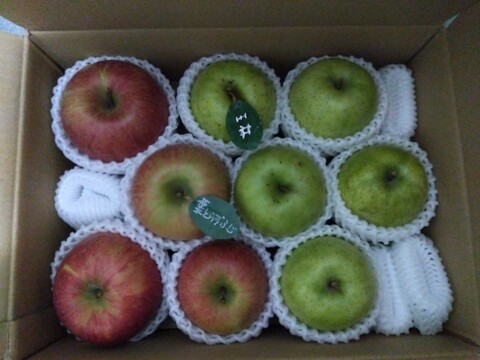 【冬ギフト】 🍎大人気🍏葉とらずふじ・王林  計9～15玉
詰め合わせ3キロ箱 ミックス ID118320