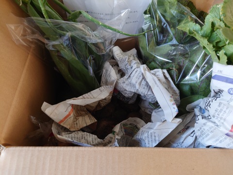 新鮮！旬の野菜セット ノーマルサイズ　4～7品「有機JAS認証」