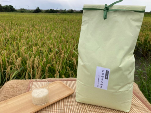 【新米】R5:にじのきらめきクリーン白米（無洗米相当）4.5kg（農薬不使用栽培）