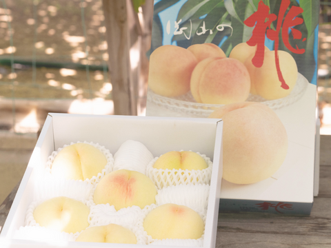 白桃 といえば 清水白桃 しっかり追熟して本来の美味しさを味わっていただきたい 岡山県産清水白桃 6～9個入り 2.0キロ以上