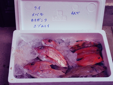 ９月スタート！【最大１ヶ月待ちになります🙇】🐟未利用魚🐟️訳ありを安くお得に！漁師の分け前セット３㎏程度
