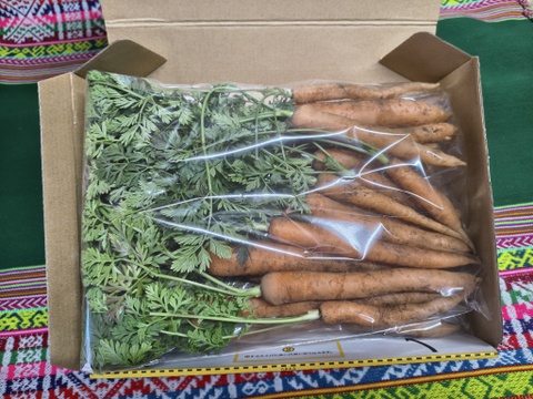 愛情たっぷり育てた寒締め葉つきミニ人参700ｇ★パチャママ農園