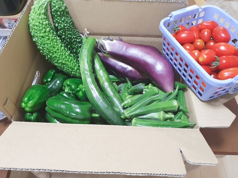 熊本県産人参と大人気！熊本県産季節の野菜セット。