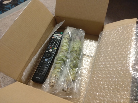 訳あり特価「富士山わさび」実生種(大100g程度)    2本セット　毎週土曜日(収穫当日)の発送です