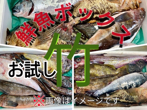 【知床らうす直送】試し鮮魚ボックス（詰め合わせ）竹コースお試し