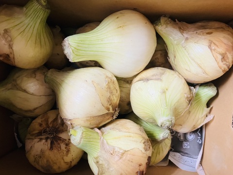 【祝!3年連続金賞🏆】淡路島新玉ねぎ5kg