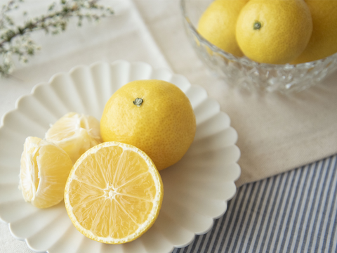 【先着5名様限定】伊藤農園認定 農家さんの木成り 完熟 黄金柑 特選 12個入【5月上旬より発送予定】354