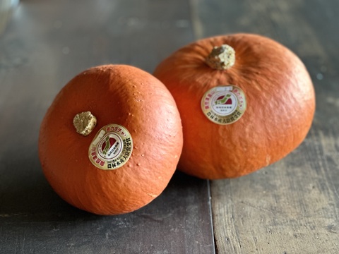 『先行予約』幻の奥会津金山 赤カボチャ[おまかせ ]4kg