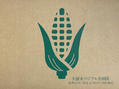 【今だけ】ホワイトショコラのヤングコーン（数量限定）３kg