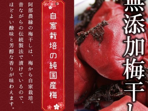 【訳あり】大つぶれ梅干し　1kg　冷蔵品