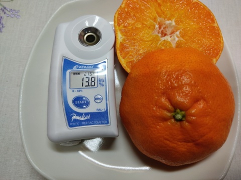 2箱のみ　お弁当のお供に　つぶらな甘平　４キロ